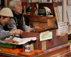 箕面滝_明治の森箕面国定公園(阪急箕面駅)