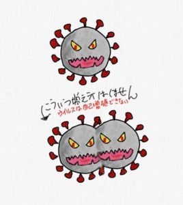 コロナウイルス(COVID-19)はどうやって増殖するのか