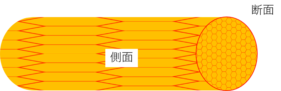 丸棒の圧延と結晶構造の変化１