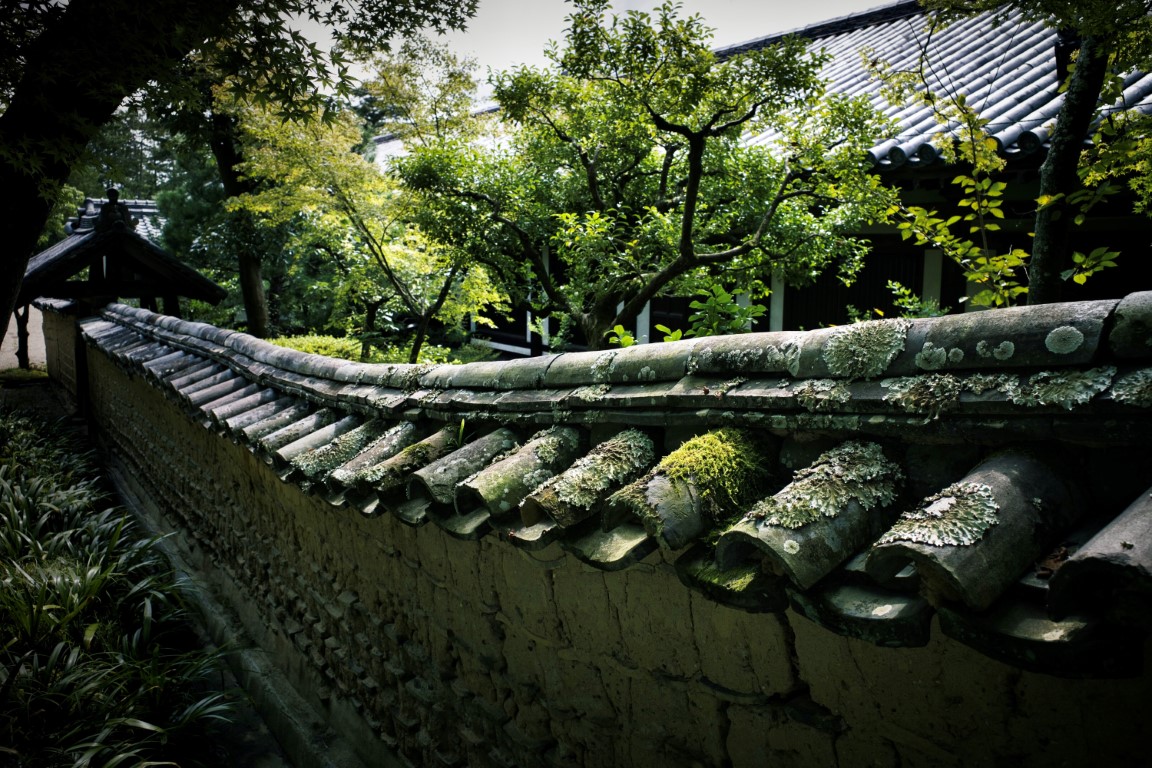 奈良西ノ京_唐招提寺