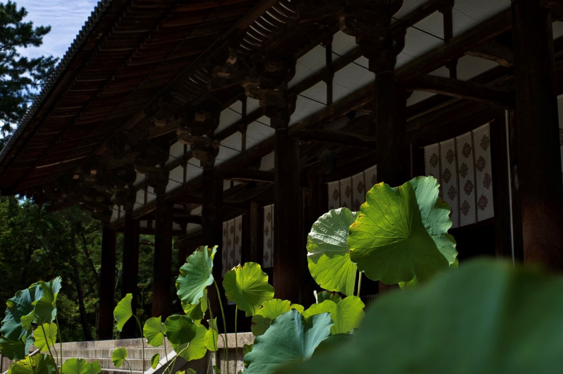 奈良西ノ京_唐招提寺