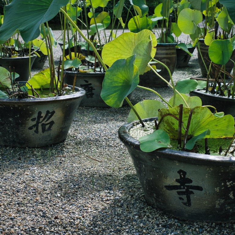 奈良西ノ京_唐招提寺