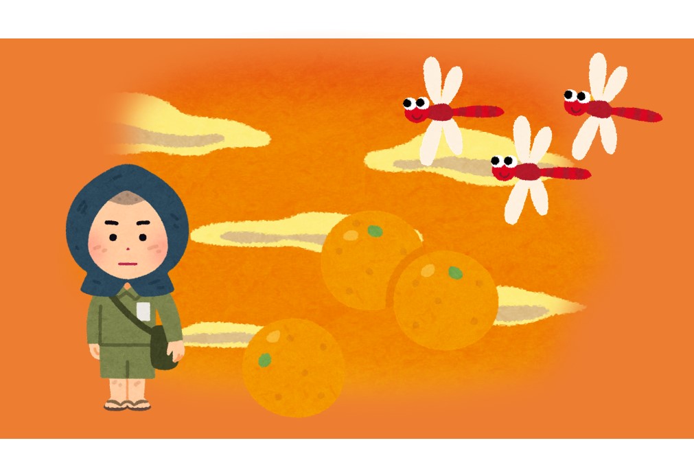 金柑 キンカン は虫刺されには効かない ミカン科常緑低木 日章アステック株式会社 金柑 キンカン は虫刺されには効かない ミカン科常緑低木 日章アステック株式会社